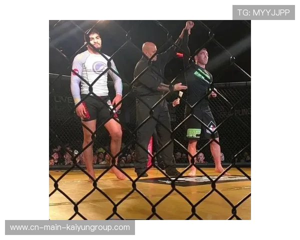 UFC摔技与地面控制训练——打造全能搏击手的秘密武器